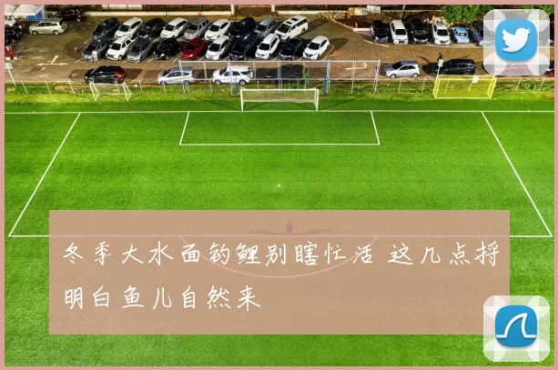 冬季大水面钓鲤别瞎忙活 这几点捋明白鱼儿自然来