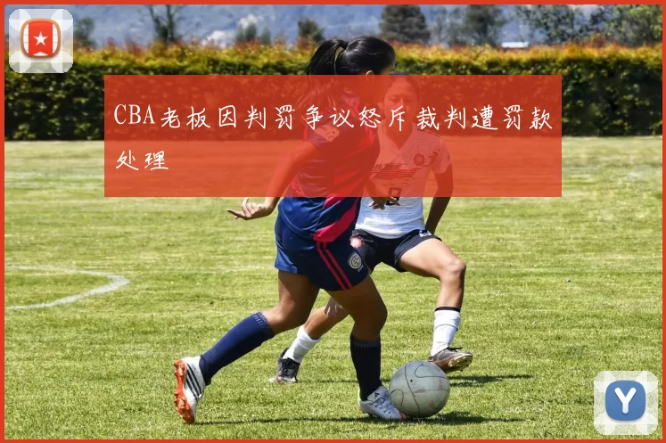 CBA老板因判罚争议怒斥裁判遭罚款处理