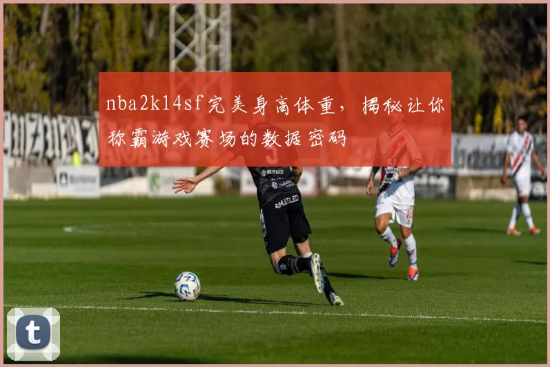 nba2k14sf完美身高体重，揭秘让你称霸游戏赛场的数据密码