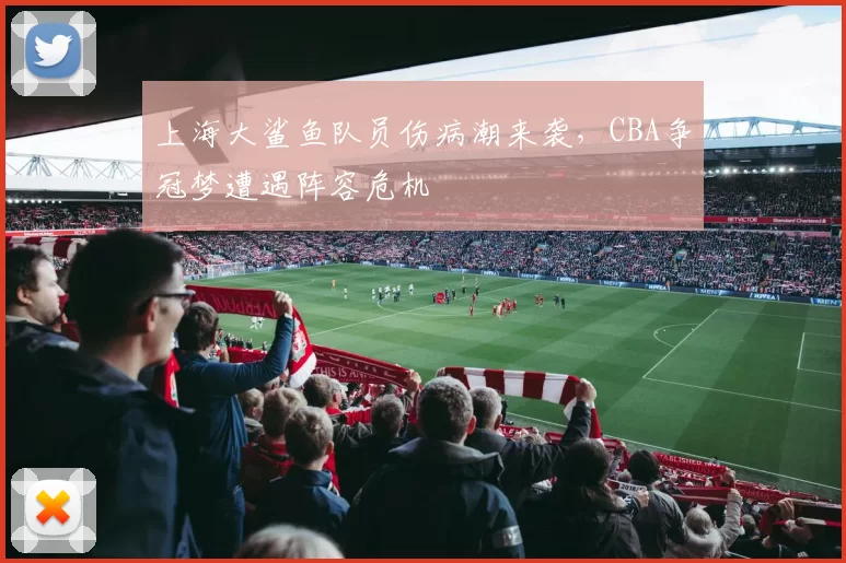 上海大鲨鱼队员伤病潮来袭，CBA争冠梦遭遇阵容危机