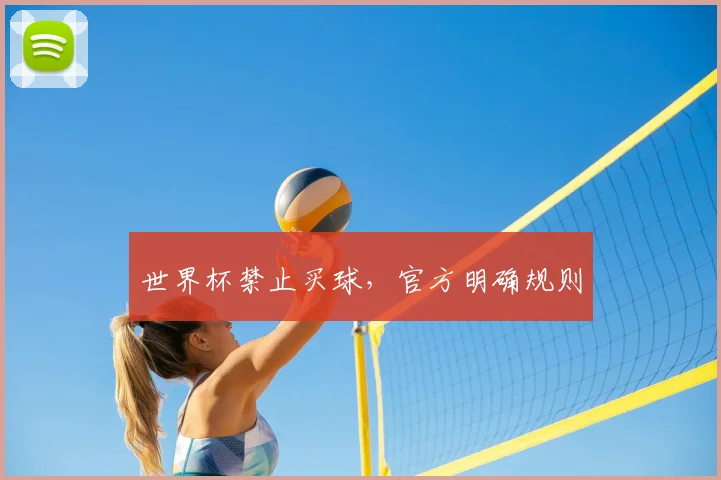 世界杯禁止买球,官方明确规则