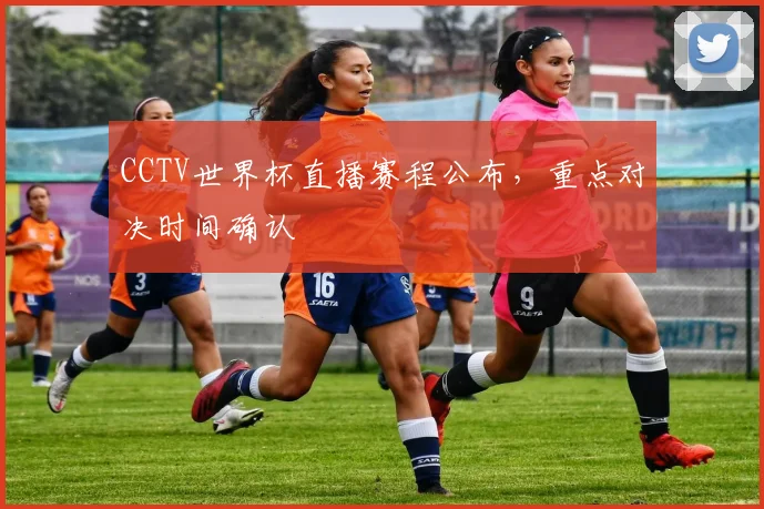CCTV世界杯直播赛程公布,重点对决时间确认