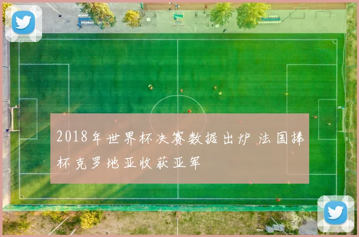 2018年世界杯决赛数据出炉 法国捧杯克罗地亚收获亚军