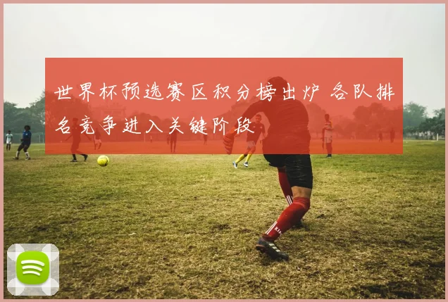 世界杯预选赛区积分榜出炉 各队排名竞争进入关键阶段