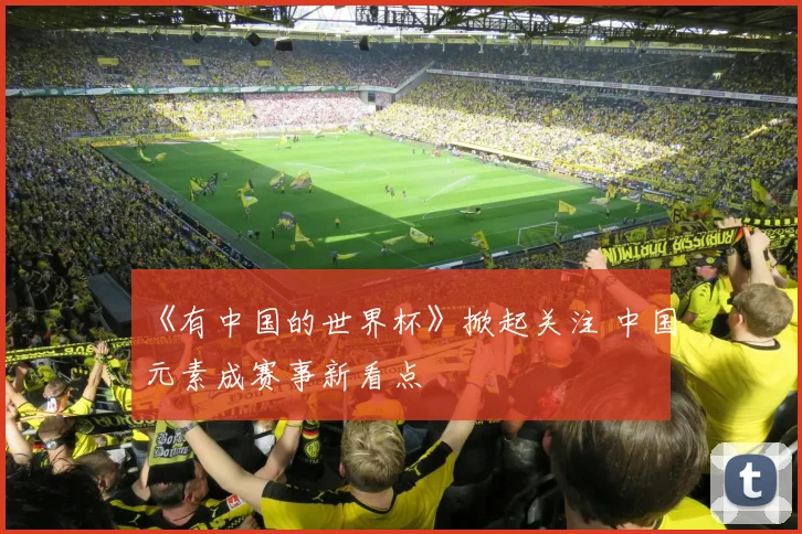 《有中国的世界杯》掀起关注 中国元素成赛事新看点