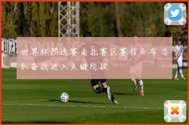 世界杯预选赛南北赛区赛程公布 各队备战进入关键阶段