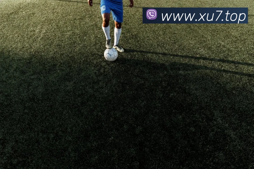 开云手机站官方版网站登录入口 - 开云(中国)APP 高清赛事图